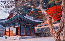 Спрос на туры в Южную Корею у туристов из РФ значительно вырос