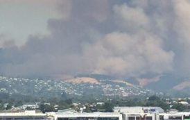 В Новой Зеландии бушуют сильнейшие за 60 лет лесные пожары
