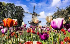 14 интересных фактов о главном весеннем парке Европы
