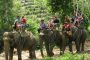 В Таиланде на туристов напал агрессивный слон
