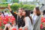 В Сеуле пройдёт масштабный Фестиваль роз