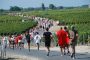 Во Франции началась регистрация на знаменитый винный марафон