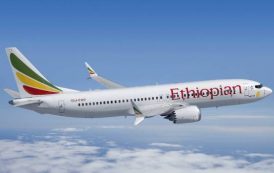 Самолет Ethiopian Airlines потерпел крушение в Эфиопии, среди погибших есть граждане России