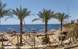 Египет откроет нудистские пляжи для привлечения туристов