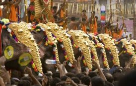В Индии проведут Фестиваль слонов