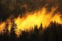 В Китае из-за лесных пожаров погибли почти 30 человек