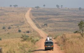 В Уганде похитили туристку и требуют выкуп в полмиллиона долларов