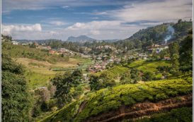 Туристов вновь предостерегают от поездок на Шри-Ланку