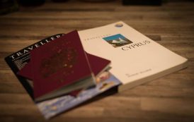 Кипр увеличил максимальный срок на оформление про-визы