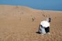 В Японии будут штрафовать туристов за надписи на песке