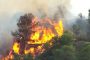 В Каталонии из-за аномальной жары начались лесные пожары