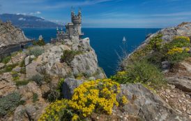 С начала года в Крыму побывали 100 000 иностранных туристов