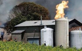 Во Франции при пожаре испарилось 250 000 литров коньяка
