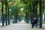 В Париже появятся четыре «городских леса»